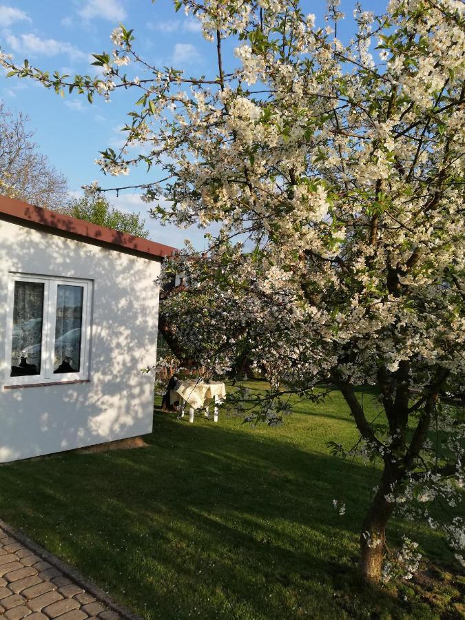Miwa - Pokoje Do Wynajecia Mikołajki Exteriör bild